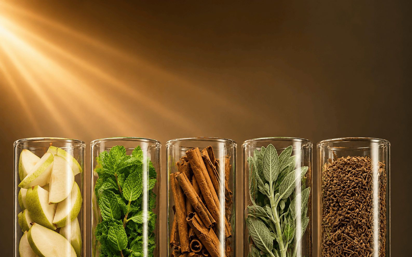 Top 10 Perfumes That Will Leave a Lasting Impression
