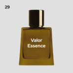 Valor Essence Inspired by Hero by Burberry-29