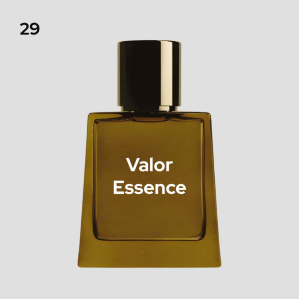 Valor Essence Inspired by Burberry Hero