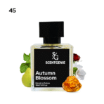 Autumn Blossom Inspried by Jo Malone English Pear & Freesia -45 - Image 2