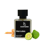 Hercules, Inspired By Roja - Amber Aoud-9 - Image 2