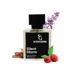 Silent Storn Inspired by Individuel By Mont Blanc-142 - Image 2