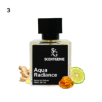 Aqua Radiance, Inspired By Louis Vuitton - Afternoon Swim-3 - Image 2