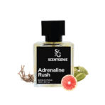 Adrenaline Rush, Inspired By Hugo Boss - Bottled Sport-59 - Image 2