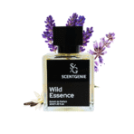 Titan Elixir Inspired by Invictus Victory Elixir-63 - Image 2